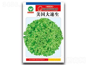 ����������-���˷N��-ȪԴ