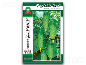 ���㰢��-�S�ϷN��-ȪԴ