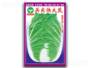 �P�|���ï-�ײ˷N��-ȪԴ