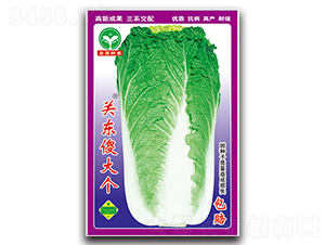 �P�|ɵ��-�ײ˷N��-ȪԴ