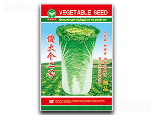 ɵ�󂀶�̖-�ײ˷N��-ȪԴ