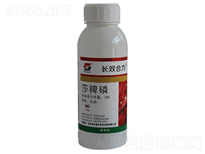 30%ɯ��������-�L�p����-�L�p�rˎ