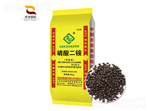 ������@-����