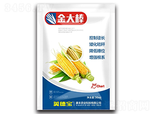 ����-�v��-���S�r�I