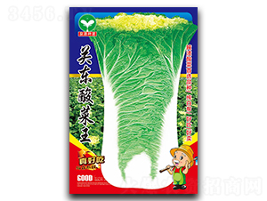 �P�|�����-�ײ˷N��-ȪԴ