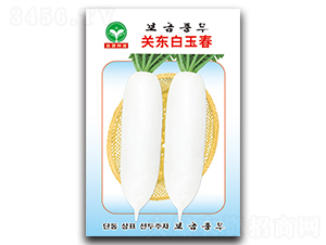 �P�|����-�}���N��-ȪԴ