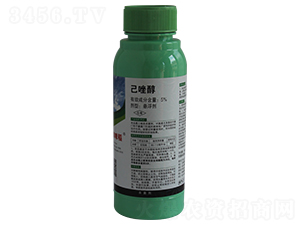 5%���򴼑Ҹ���-�L(zh��ng)�p�r(n��ng)ˎ