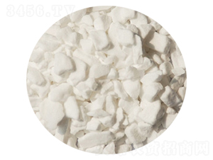 ��Ҏ�t�w�����-ïʩ