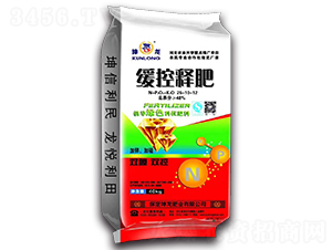 ����ጷ�26-10-12-����