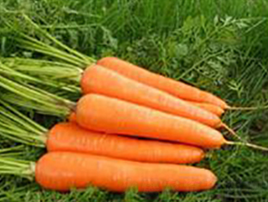 ����-���}���N��-���r�@ˇ