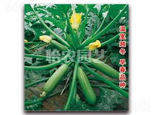 ����-�����J�N��-���r�@ˇ