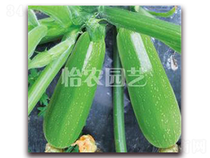 �G��������J-�����J�N��-���r�@ˇ