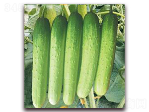 ���S��-�S�ϷN��-���r�@ˇ