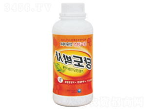 �ǶȲ�ʿ-����˼