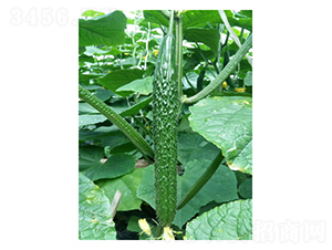 �Y�u(y��)����-�S�ϷN��-��V�r(n��ng)�I(y��)