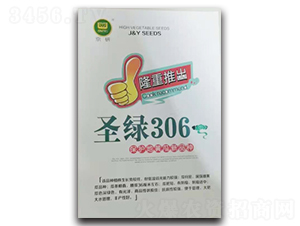 ʥ�G306̖(h��o)-�S�ϷN��-��V�r(n��ng)�I(y��)