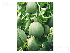 �G�����-��ϷN��-�֮���r�I(y��)