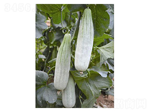 �¸��������-��ϷN��-�֮���r(n��ng)�I(y��)