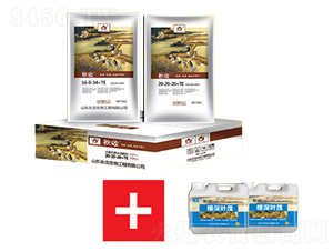 �Ѹ�����ײ�1+1-��������