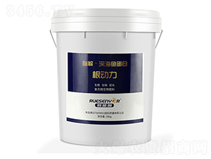 ø����~����-������-����������