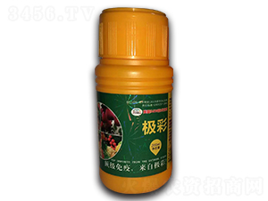 ΢�����-�O��-�˄����H