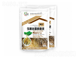 �������������`-������