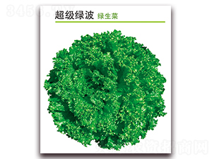 �����G��-���˷N��-������