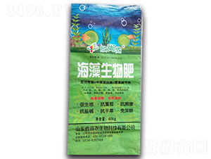 ���������-���Ѓz