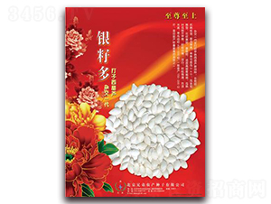 �y�Ѷ�-���������J�N��-�ֵ�