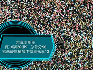 �󶹌��ð����ḯֲ����΢��Ԫ��16-20-9-���r�r�I