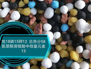 �����ḯֲ����΢��Ԫ��18-15-12-���r�r�I