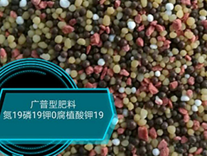 �V���ͷ���19-19-0-���r�r�I