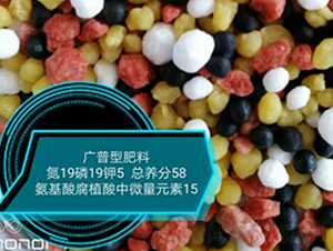 �����ḯֲ����΢��Ԫ��19-19-5-���r�r�I