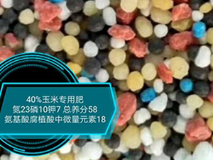 ���׌��ð����ḯֲ����΢��Ԫ��23-10-7-���r�r�I