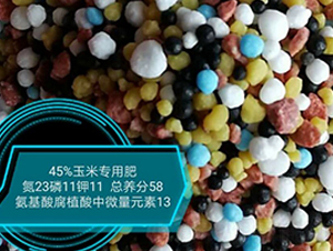 ���׌��ð����ḯֲ����΢��Ԫ��23-11-11-���r�r�I