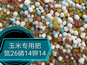 ���׌��÷�26-14-14-���r�r�I