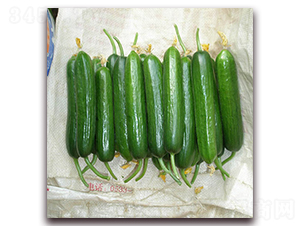 �M��700�S��-�S�ϷN��-�M��N��