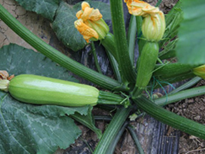 �žG�����J-�����J�N��-�M��N��