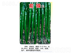 ǰ�h-�����N��-�r���f