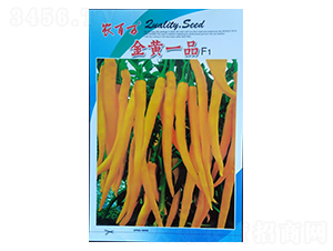 ���SһƷ-�����N��-�r���f