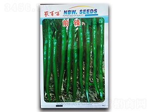 ǰ�hF1-�����N��-�r���f