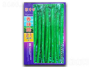 ������21̖-�����N��-�r���f