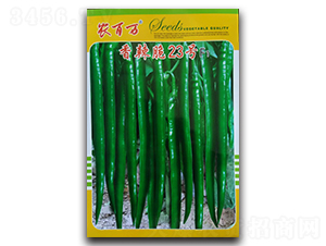 ������23̖-�����N��-�r���f