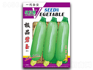 極品碧玉-西葫蘆種子-恒馳種業