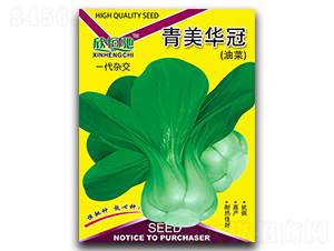 �����A��-��˷N��-���Y�N�I