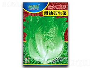 ������ļ��ͳ�̦-���˷N��-���Y�N�I