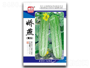 ����-�S�ϷN��-�d�߷N�I(y��)