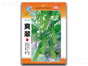 ˬ��-�S�ϷN��-�d�߷N�I(y��)