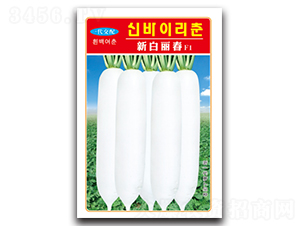 ������-�}���N��-�d�߷N�I