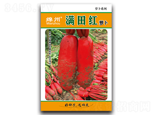 �M��t-�}���N��-�d�߷N�I